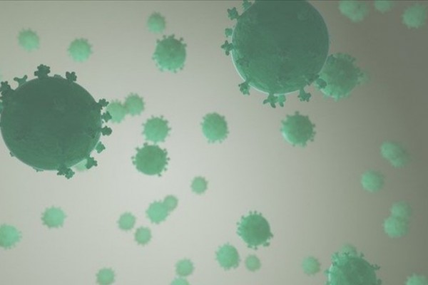Coronavirus image v3