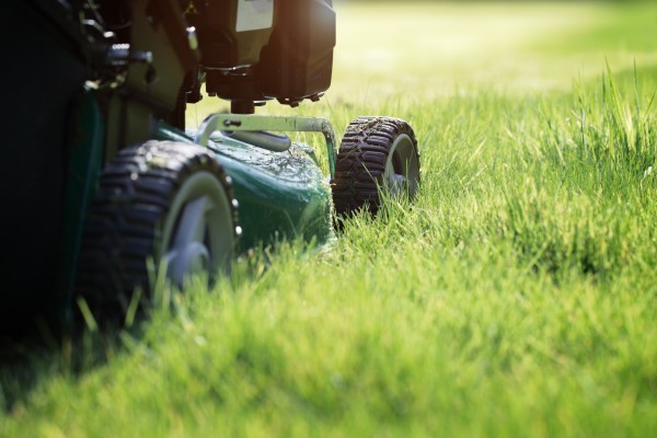 Grass cutting