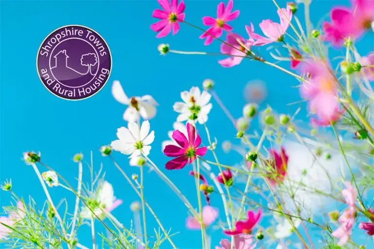 Flowers against a blue sky with star logo