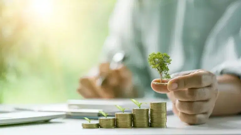 hand placing coins in a row with small green tree on one