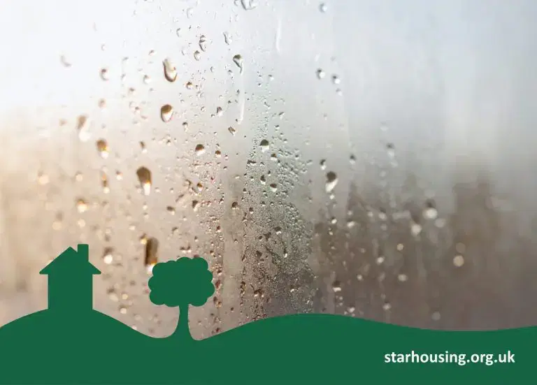 Spring tips to help prevent damp, mould and condensation in your home