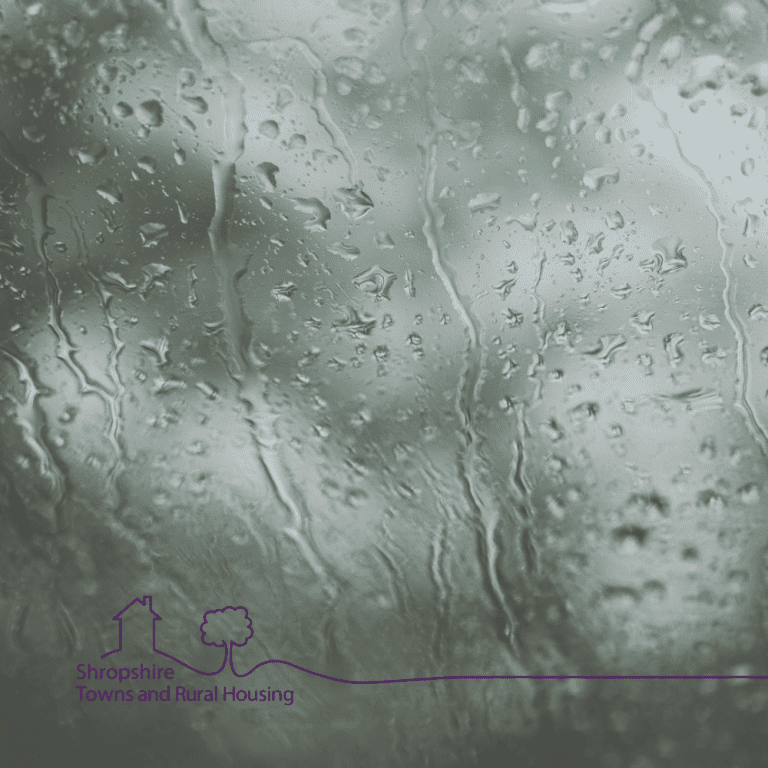 rain against a windows with the star logo