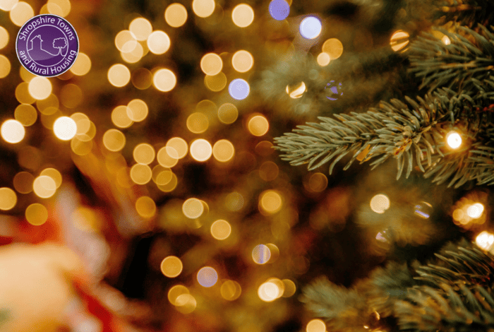 Christmas tree with Star logo and festive lights