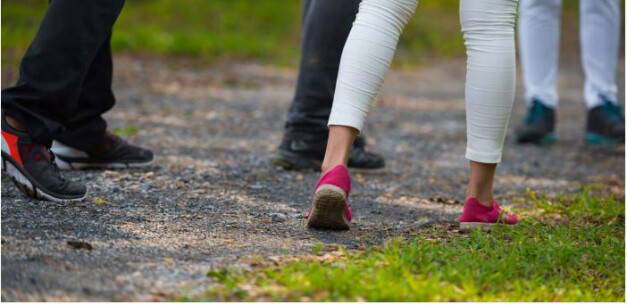 group of legs seen walking on a path